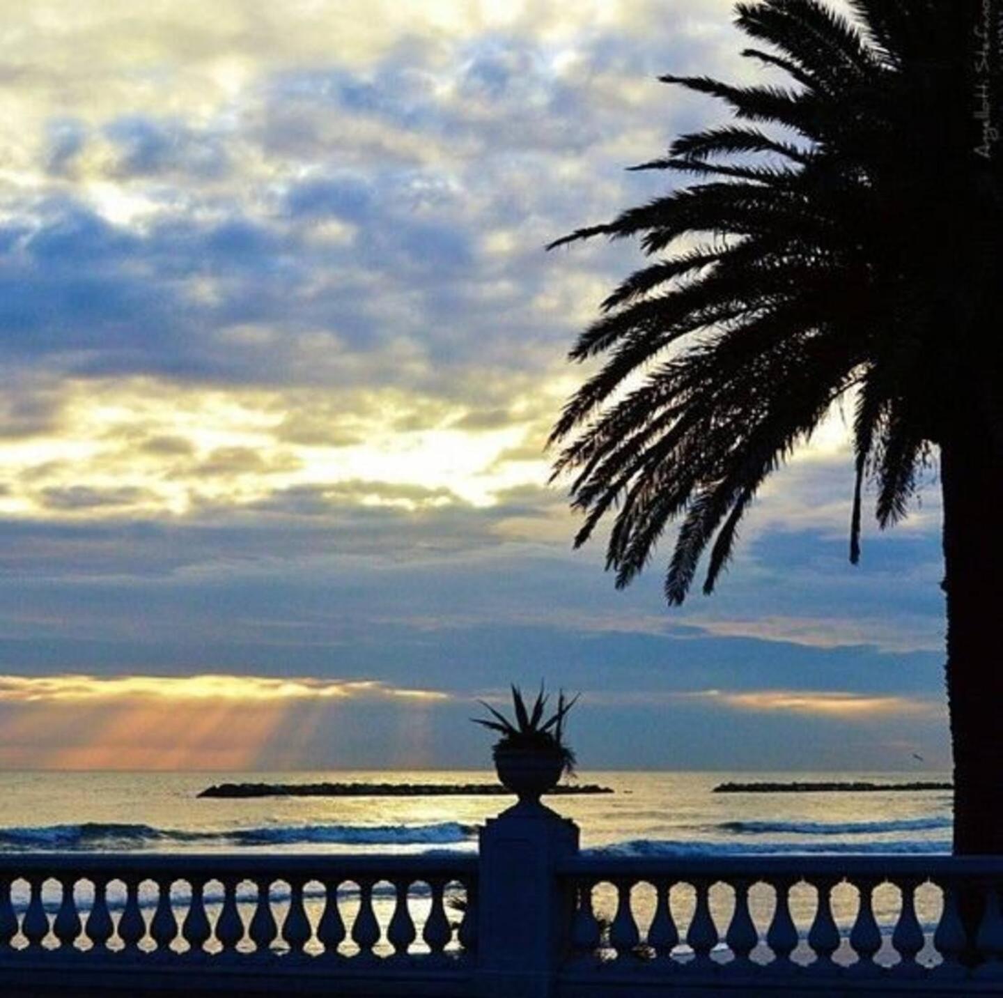 Vacanze Riviera Delle Palme *
